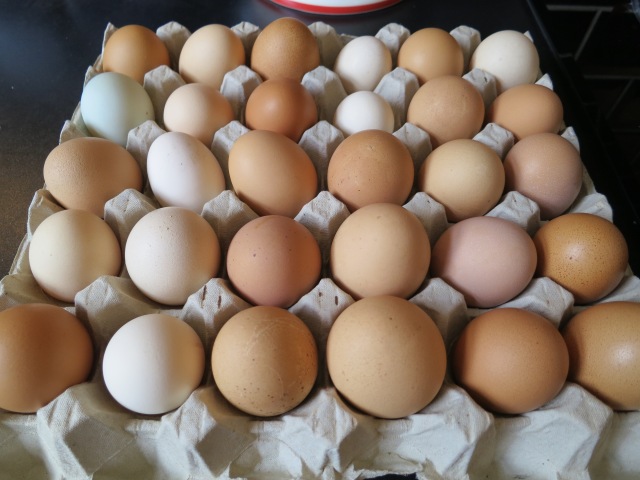 Yes I did use all these eggs!